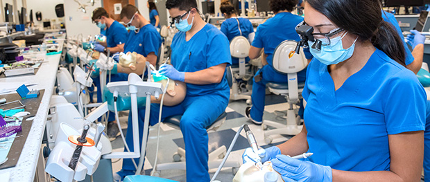 Dental students working in dental lab