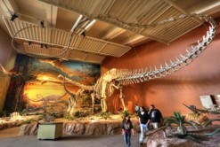 Natural History Museum
